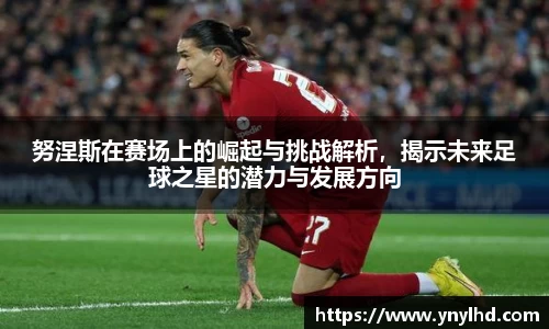 jn江南体育