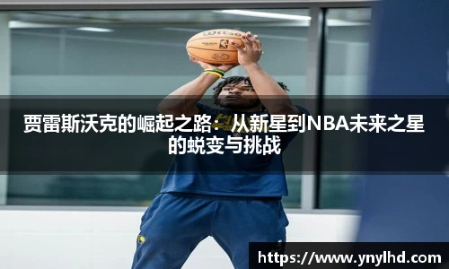 jn江南体育